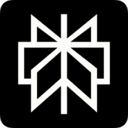Perplexity logo